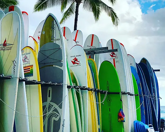 Accessories Premiun accessories designed for durability, performance and style to elevate your surfing adventure.